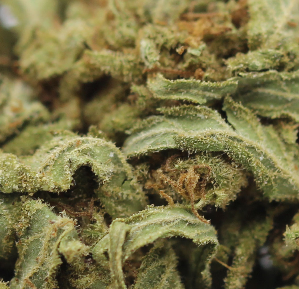 Maraschino (AA) $2.14/Gram - Image 2