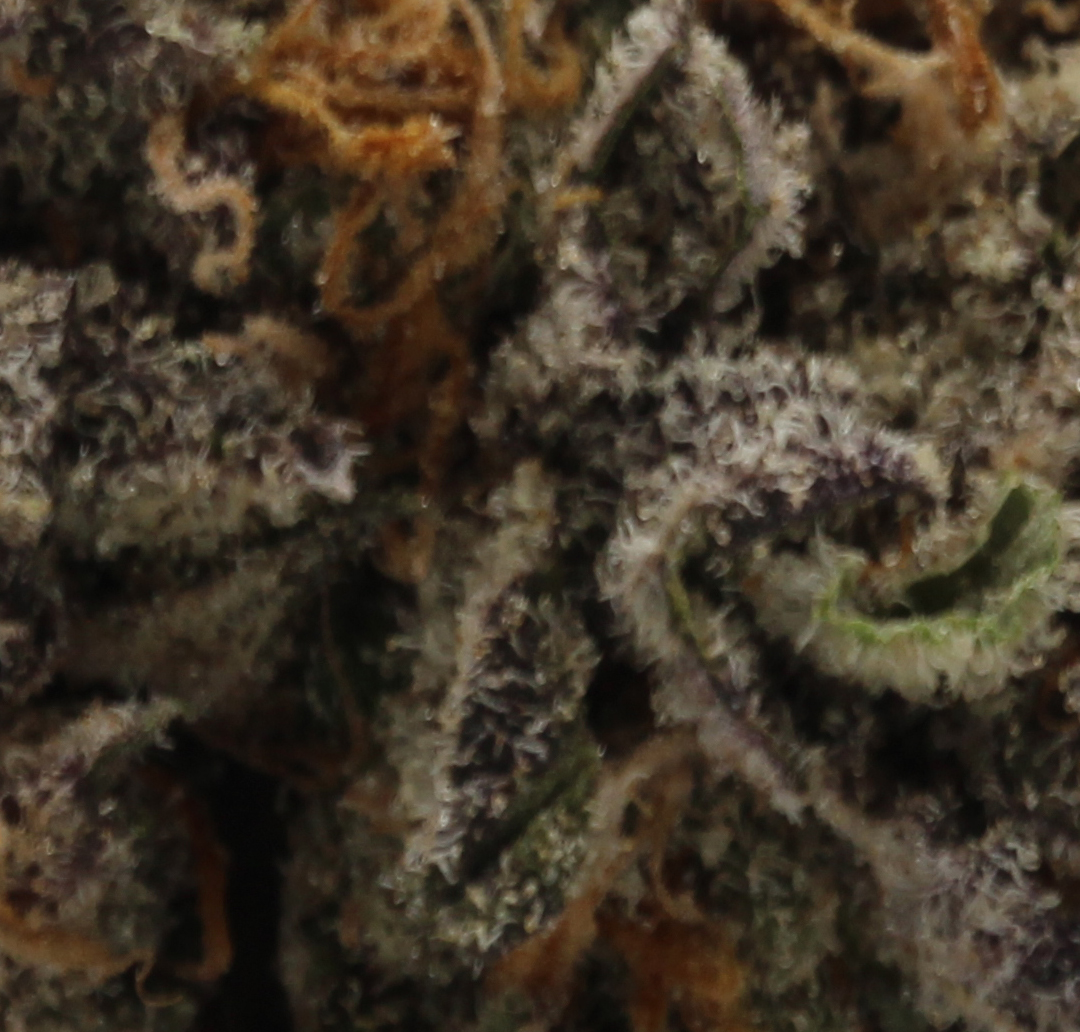 Rainbow Chip (AAAA) $5.18/gram - Image 2