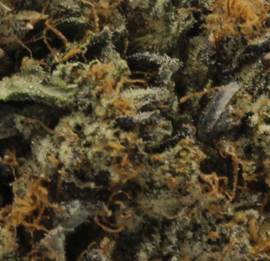 LSO Pink (AAAA) - $5.35/gram - Image 2