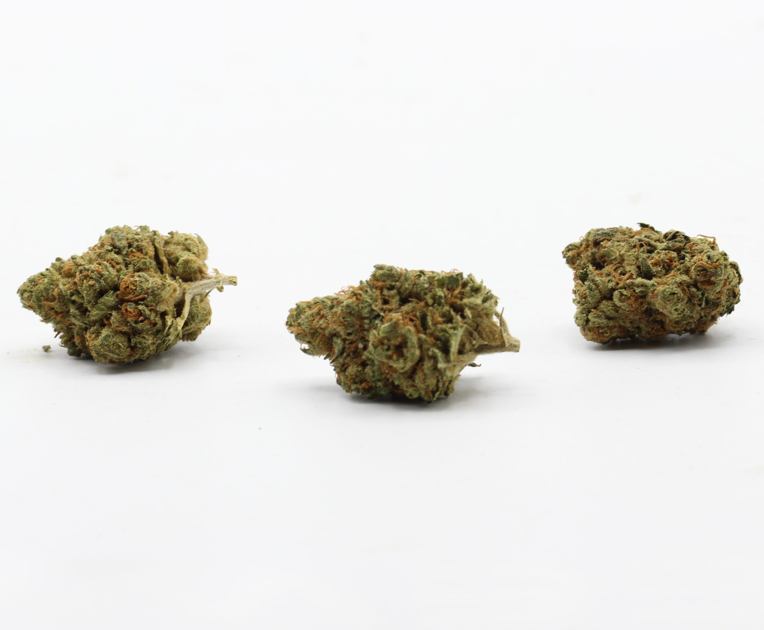 Blue Cookies (AA) $2.07/Gram - Image 3