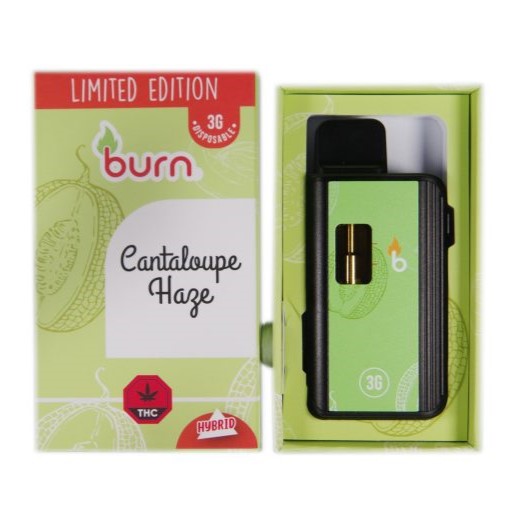 Burn 3 Gram – Disposable - Cantaloupe Haze (Hybrid)