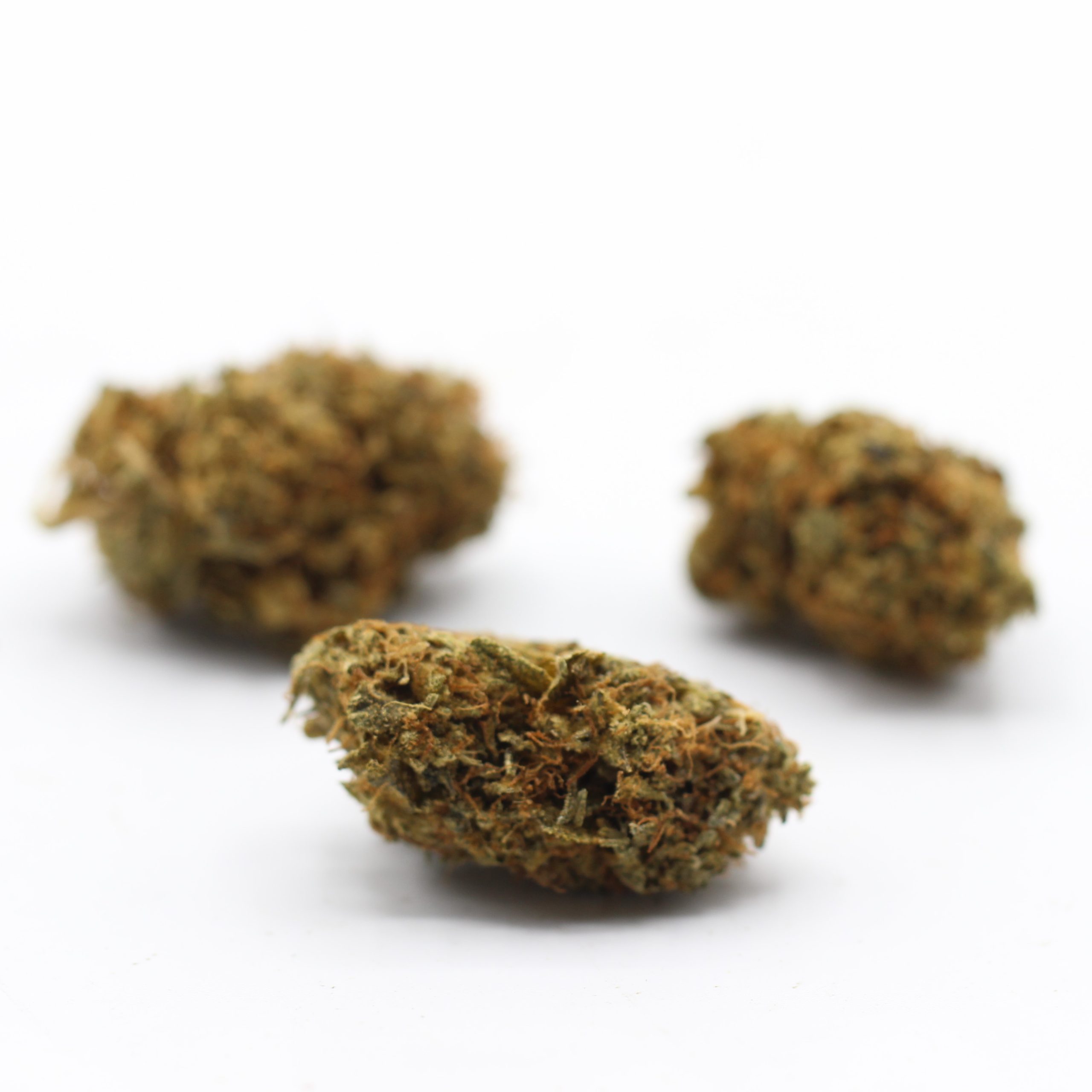 Acapulco Gold (AA) $2.14/Gram - Image 3