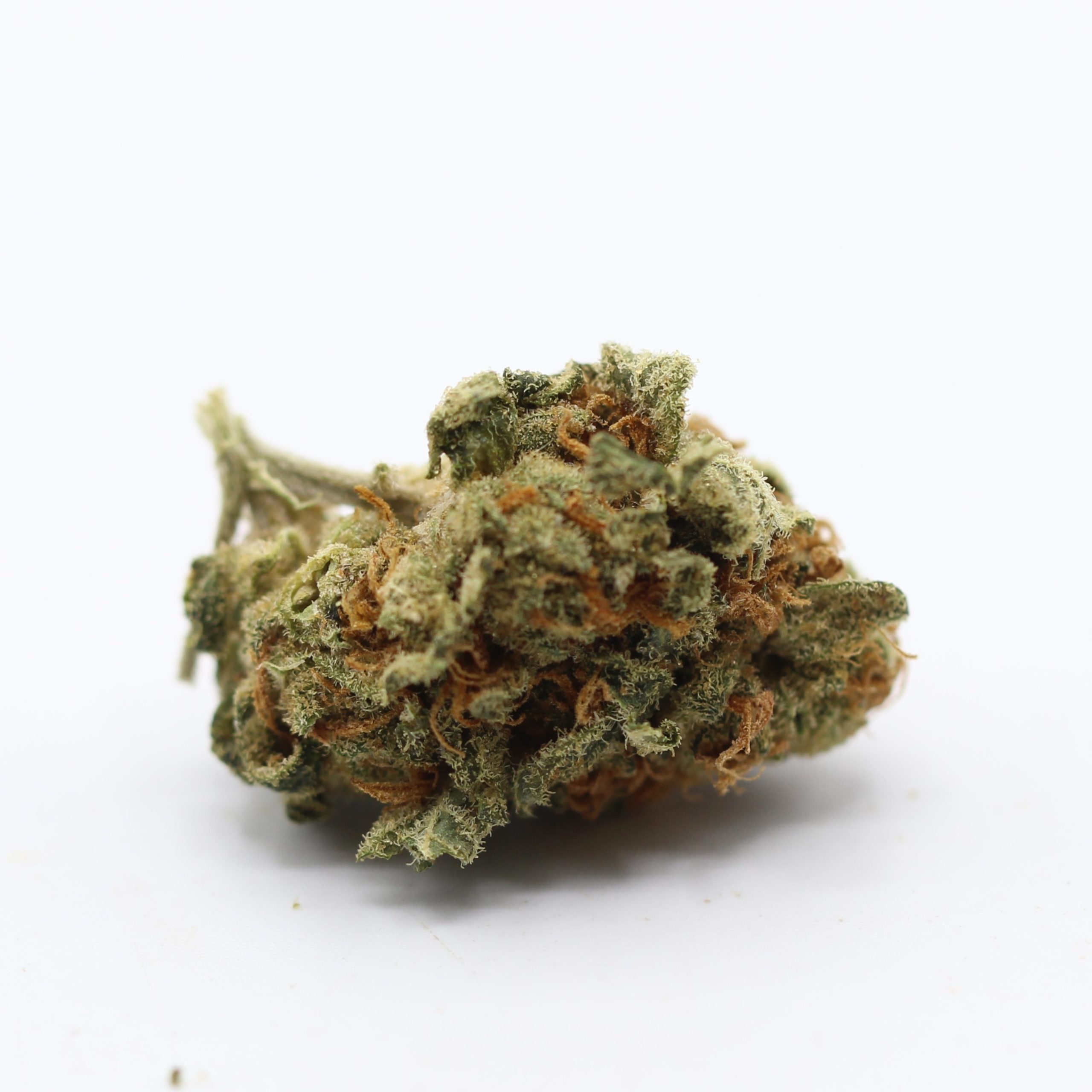 Blue Cookies (AA) $2.10/gram
