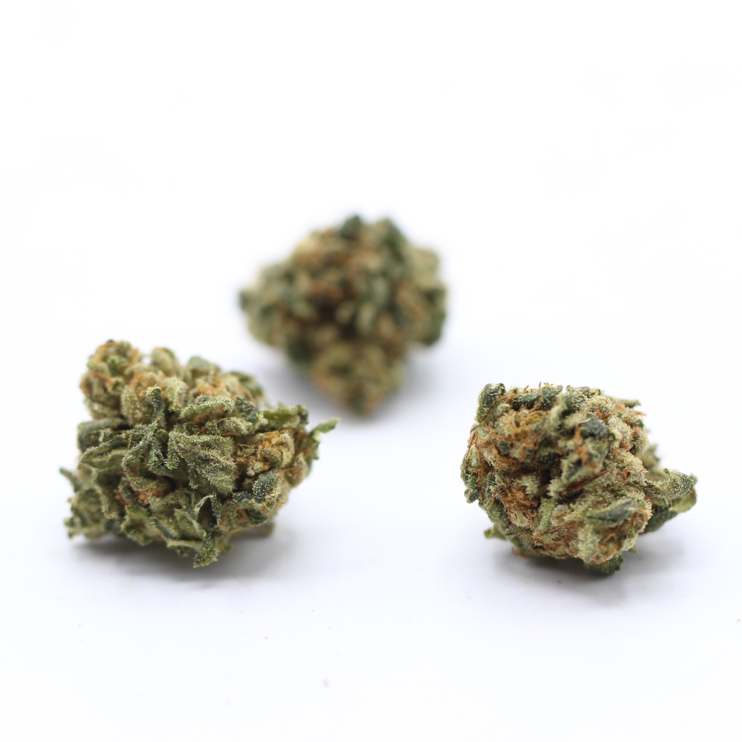 Blue Cookies (AA) $2.10/gram - Image 3