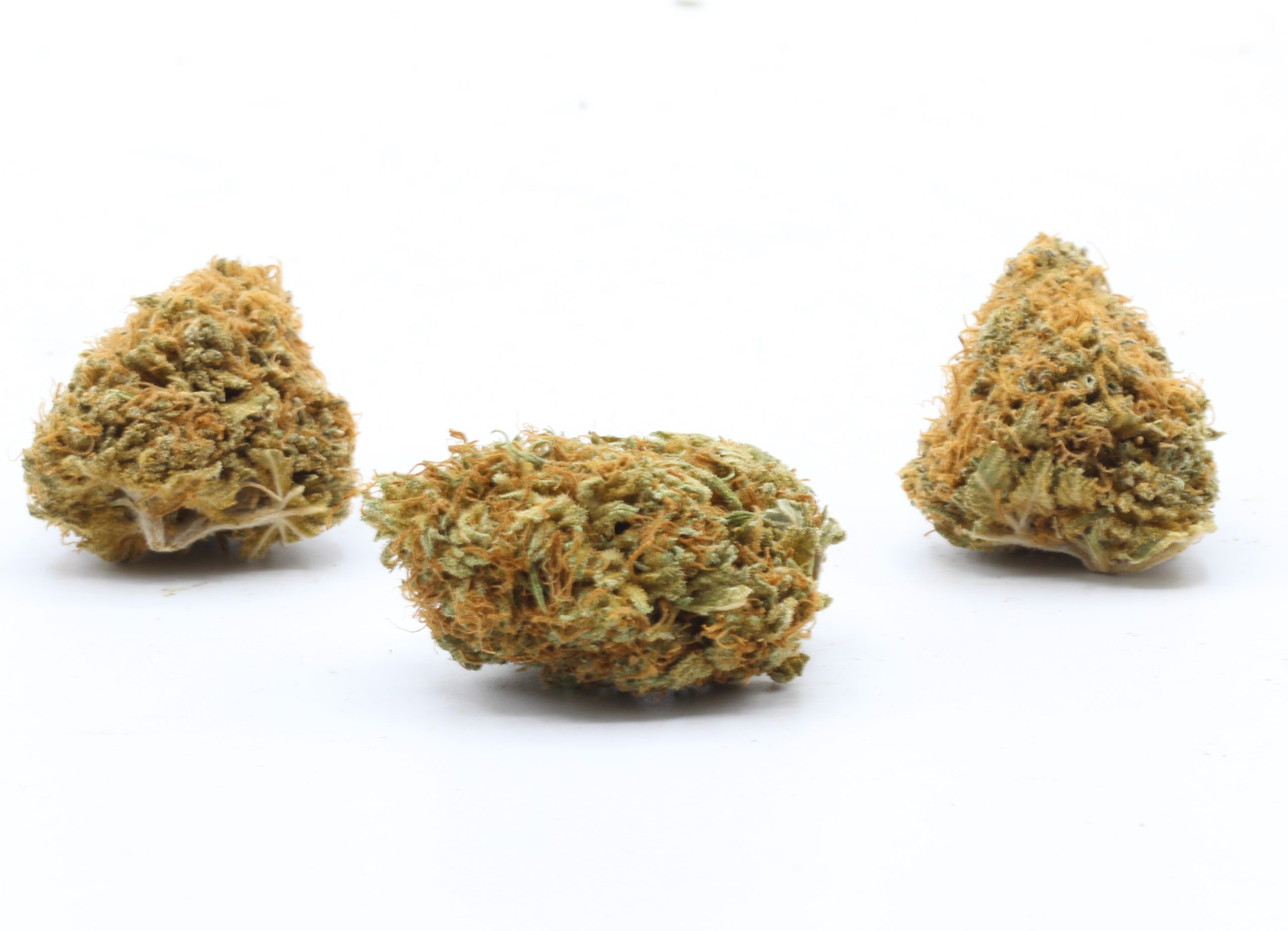 Citradelic Sunset (AA) $2.14/Gram - Image 3