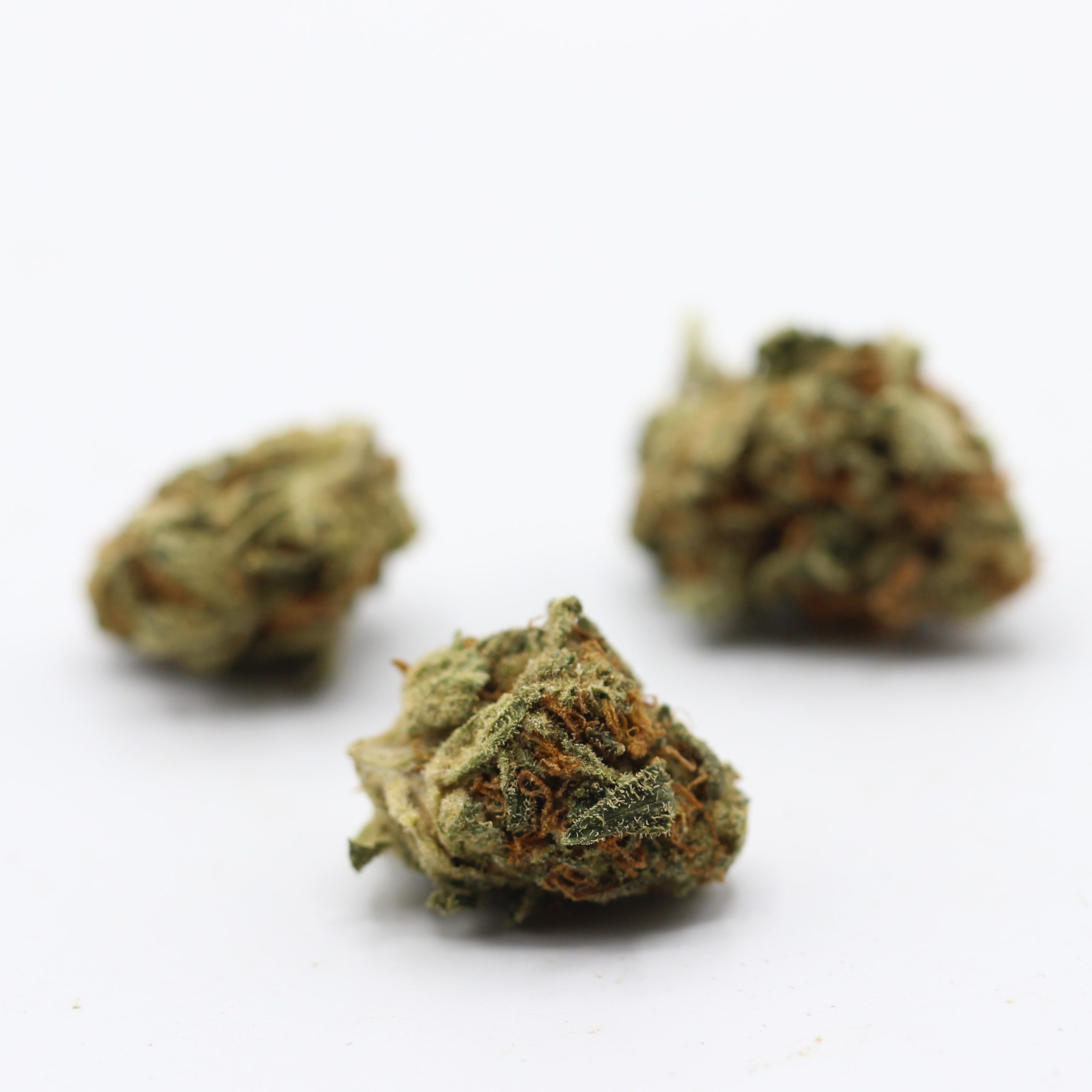 Donny Burger (AA) $2.07/Gram - Image 3