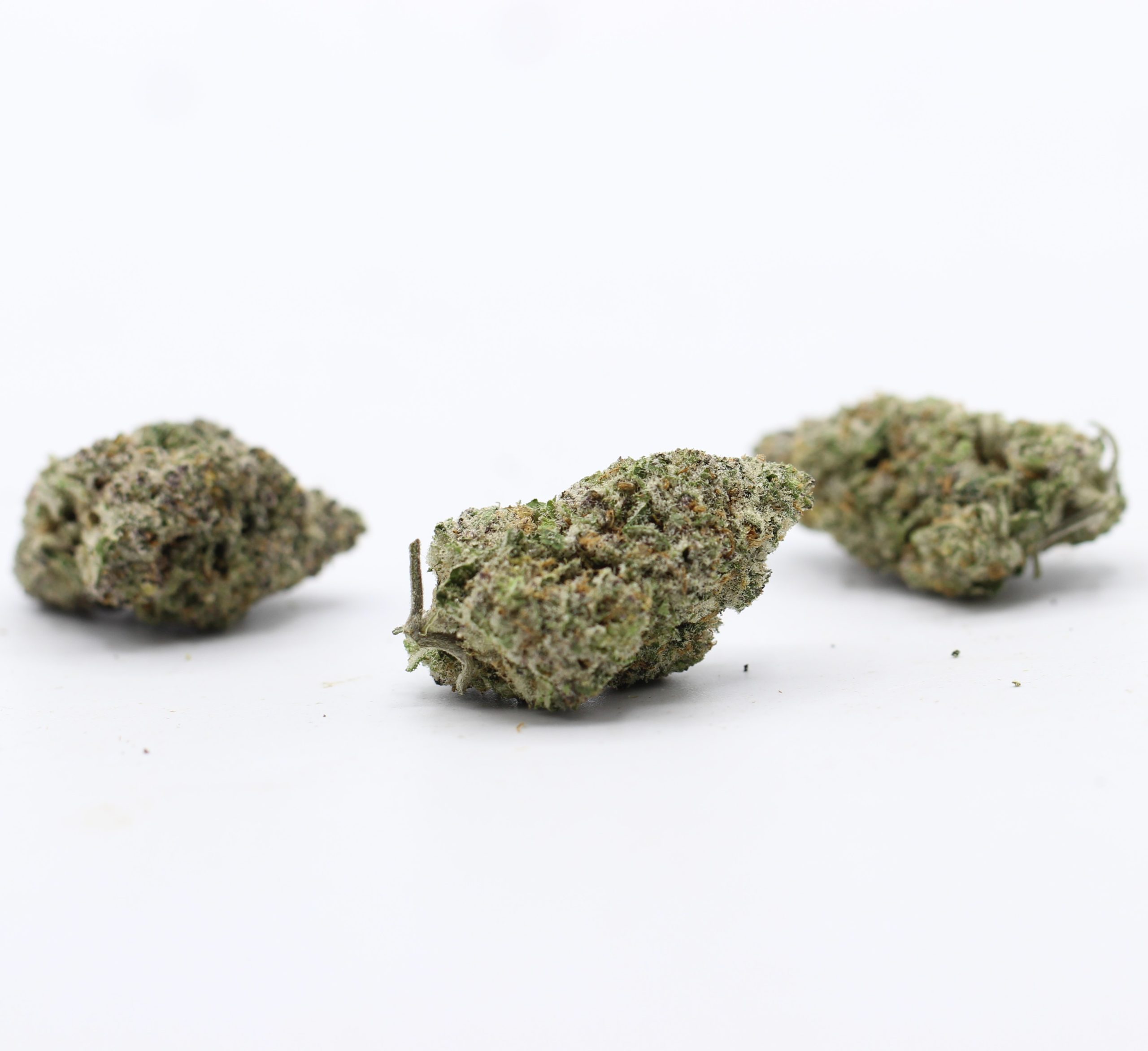 Florida OG (AAAA+ Craft) - $6.42/gram - Image 3