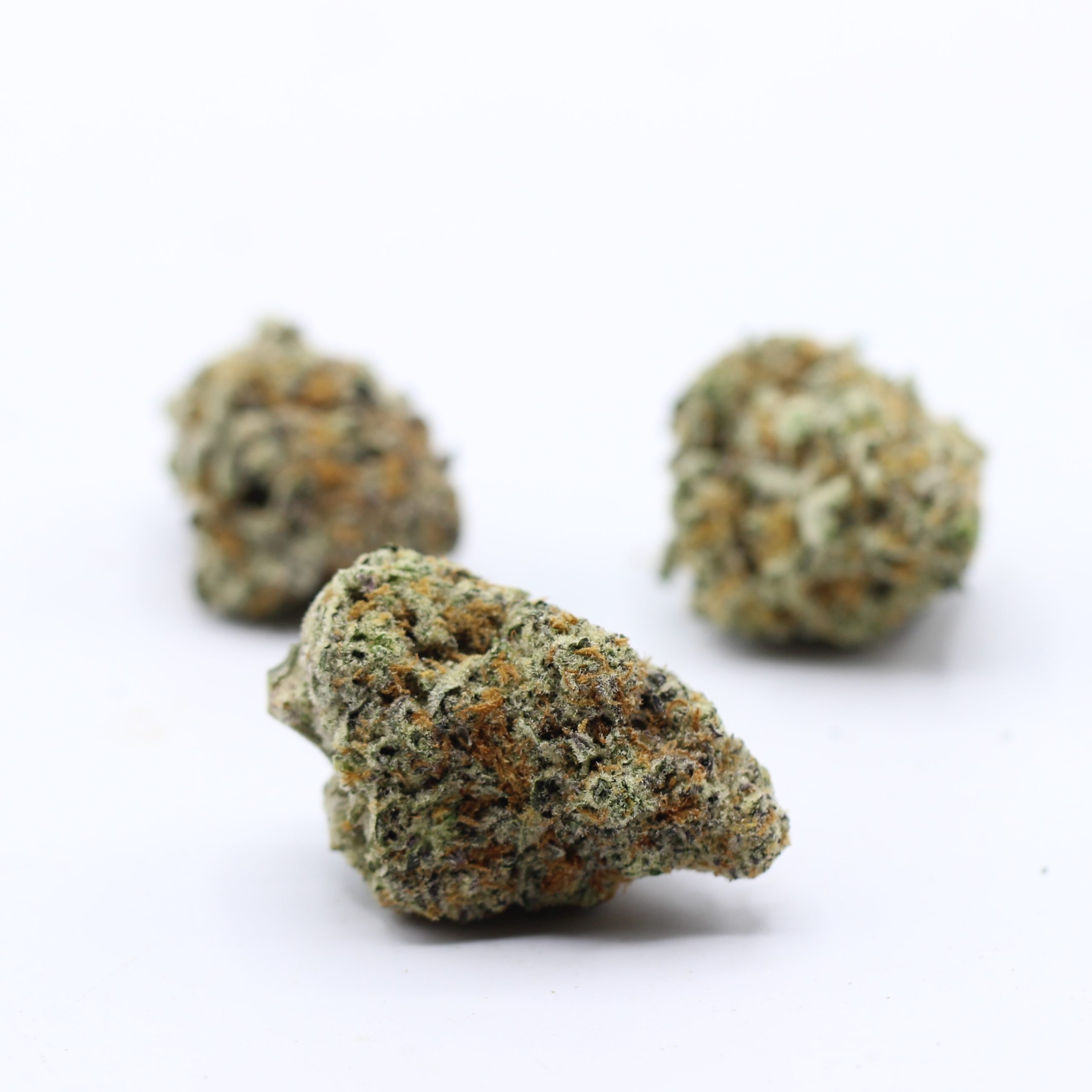 GMO Cookies (AAAA+ Craft) - $7.50/gram - Image 3