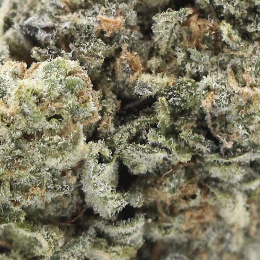 Cherry Sunset (AAA) $3.17/gram - Image 2