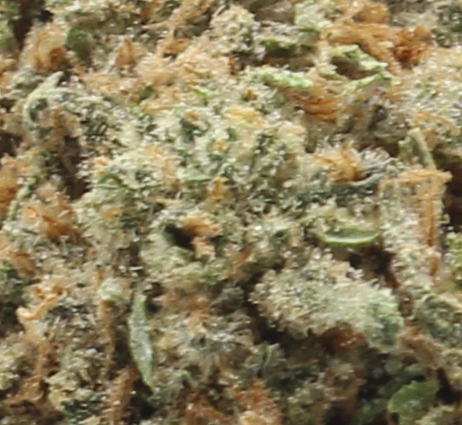 Guava (AAA) - $4.18/gram - Image 2