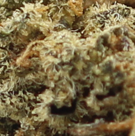 Ice Cream (AA) $2.18/gram - Image 2