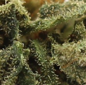 Kush Cake (AA) $2.10/gram - Image 2