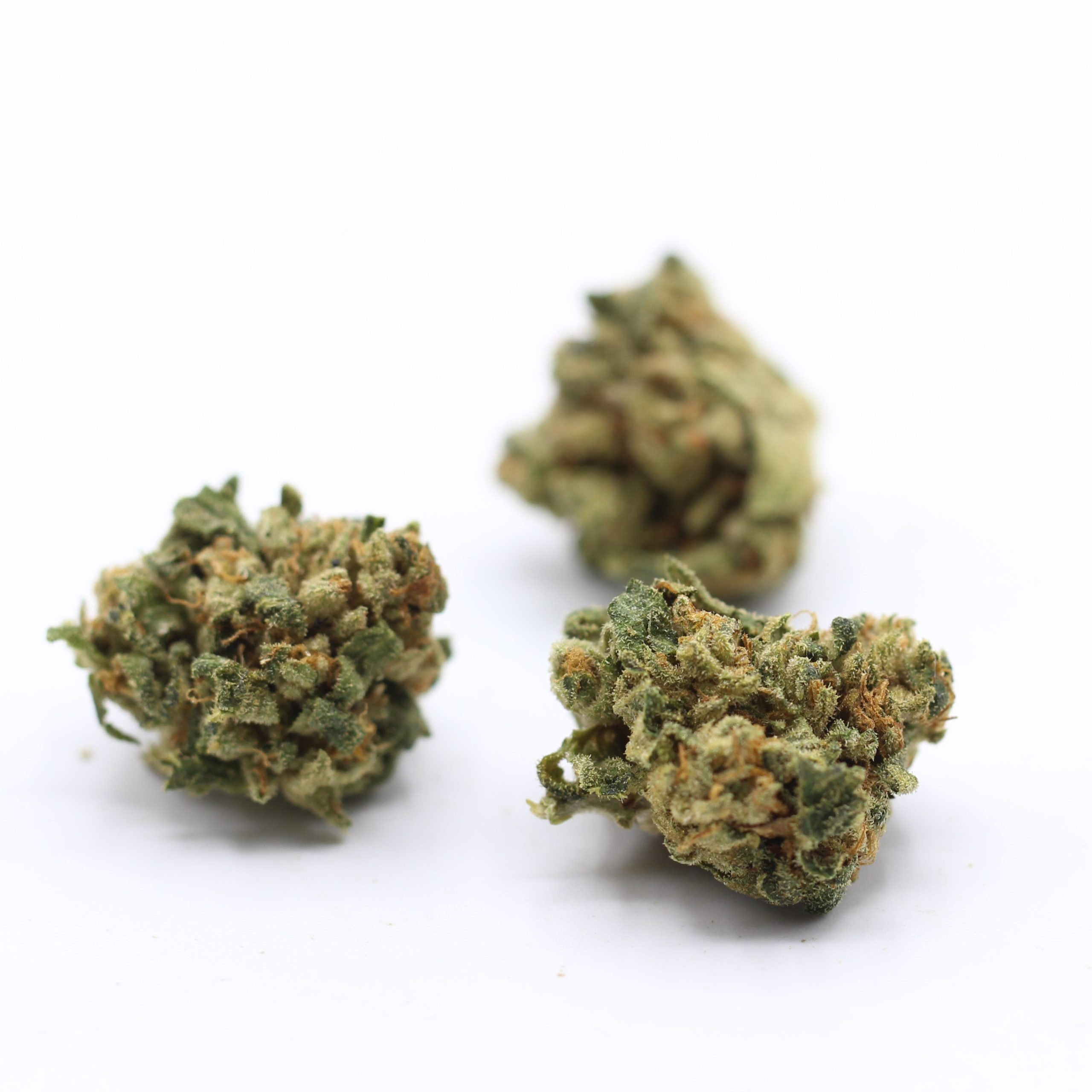 Kush Mintz (AA) $2.10/gram - Image 3