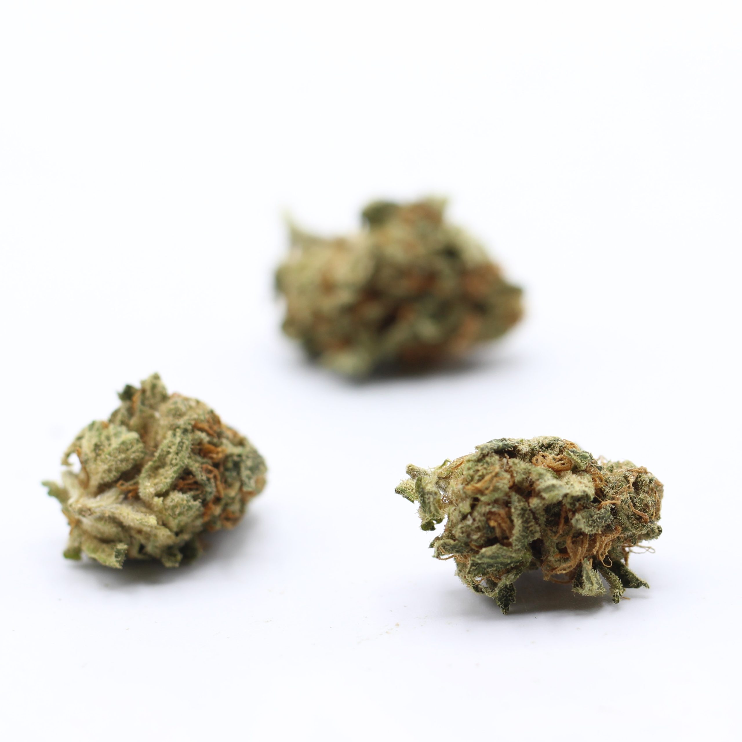 Pink Gelato (AA) $2.07/Gram - Image 3