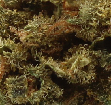 Slurricane (AA) $2.10/gram - Image 2