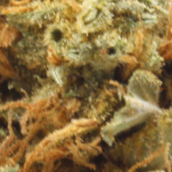 Trainwreck (AA) $2.18/gram - Image 2
