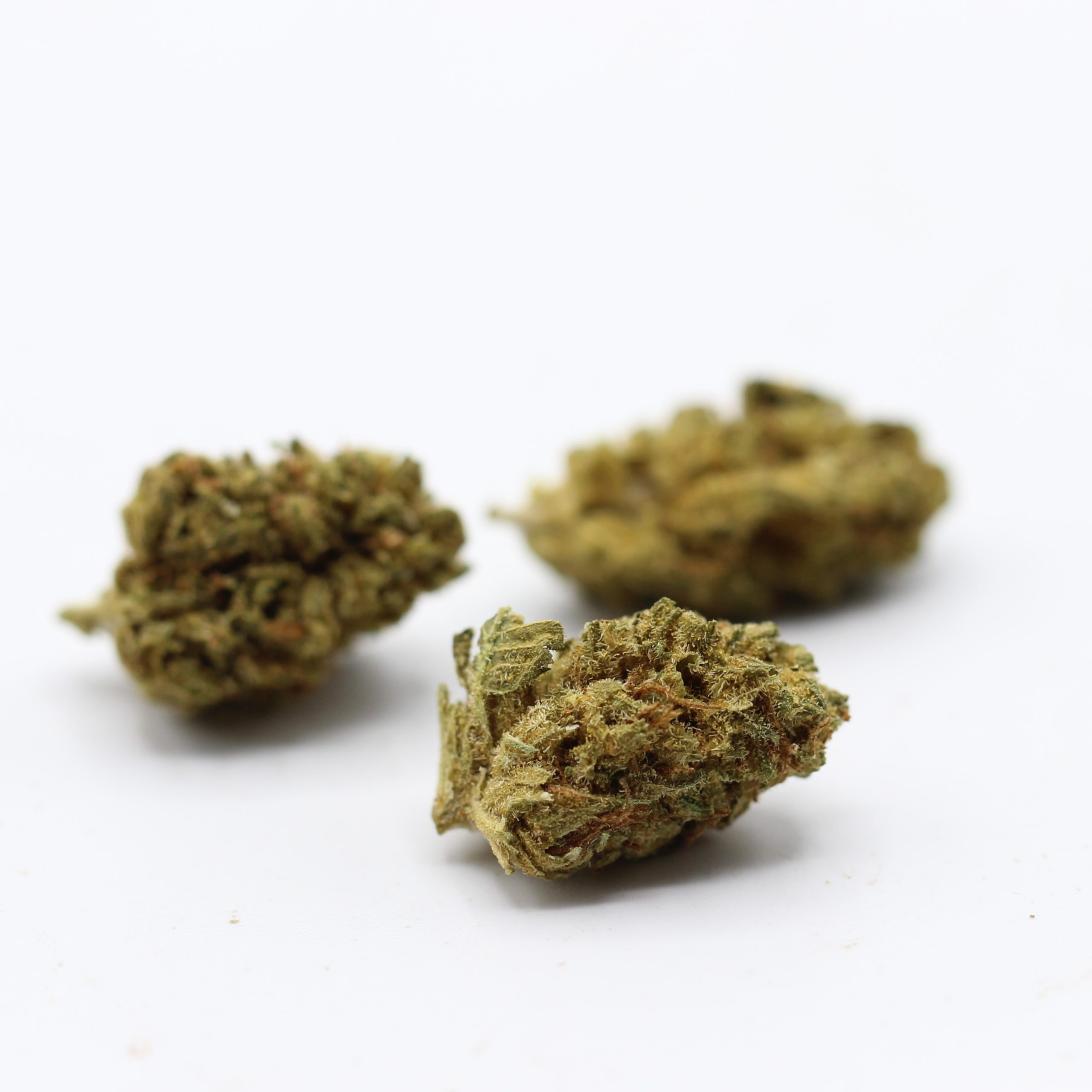 Wild Berry (AA) $2.10/gram - Image 3