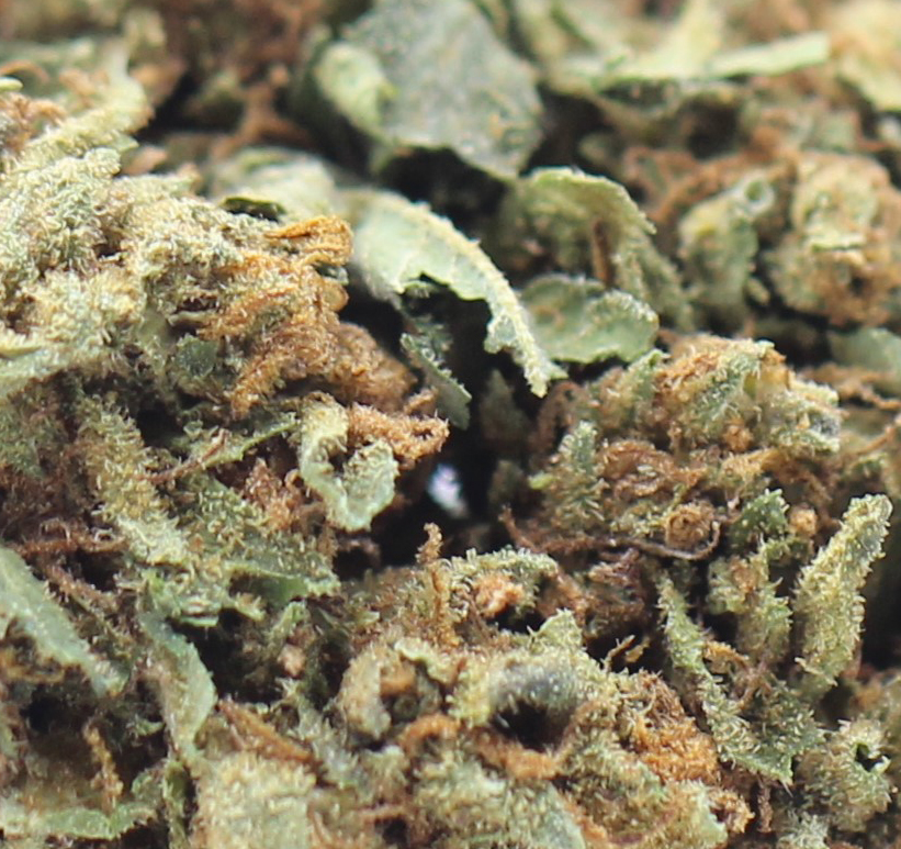 BC Gas (AA) $2.18/gram - Image 2