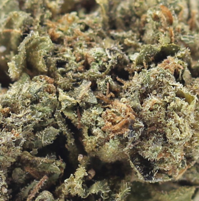 King Kush (AA) $2.25/gram - Image 2