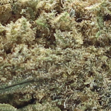 London Pound Cake (AA) $2.14/Gram - Image 2