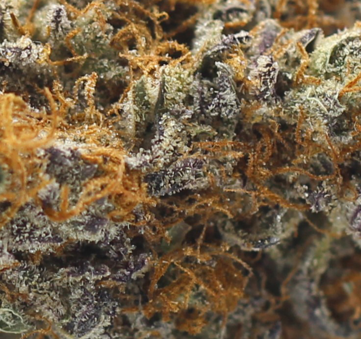 Pancakes (AAAA) - $5.71/gram - Image 2