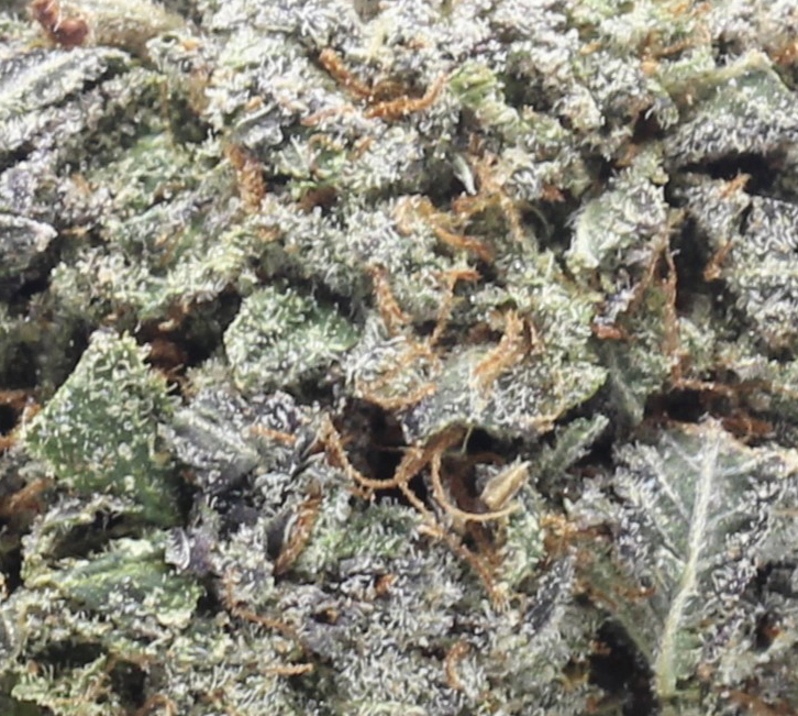 Pink Death (AAAA) - $6.07/gram - Image 2