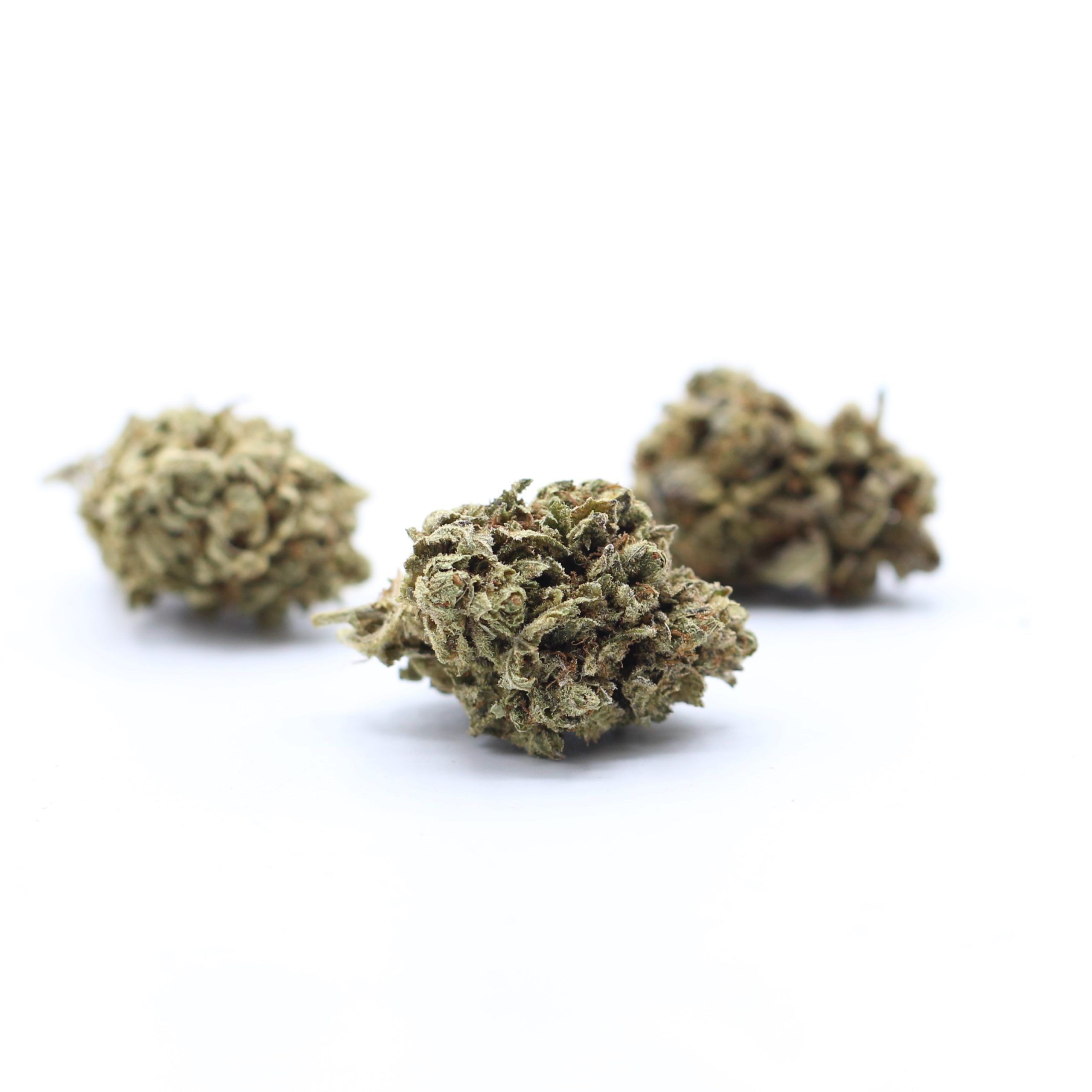 Venom (AA) $2.25/gram - Image 3