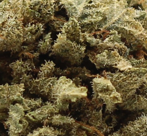 Venom (AA) $2.25/gram - Image 2