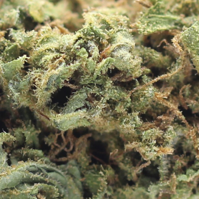 AK 47 (AA) $2.25/Gram - Image 2