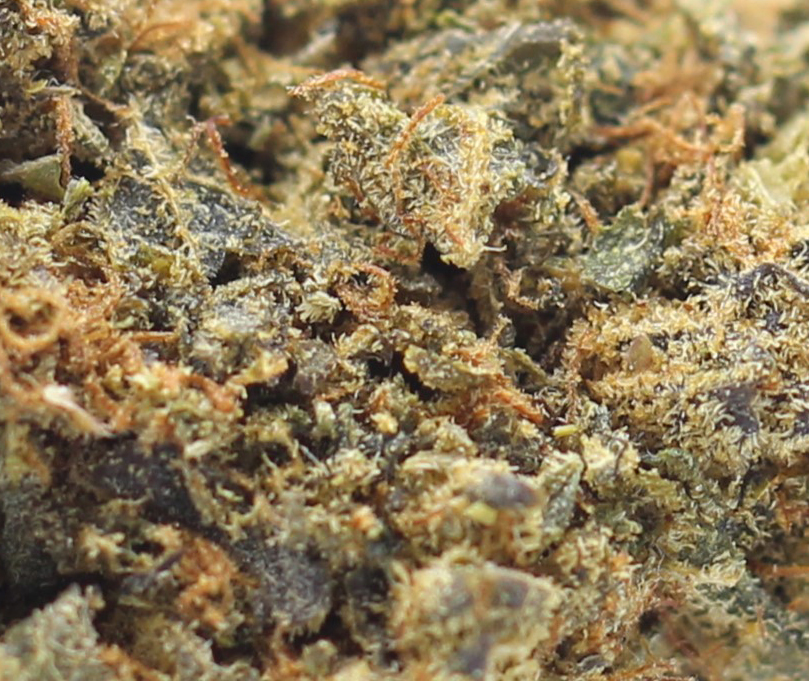 Sour Diesel (AA) $2.18/gram - Image 2