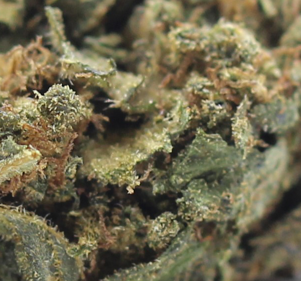 Cherry OG (AA) $2.25/Gram - Image 2