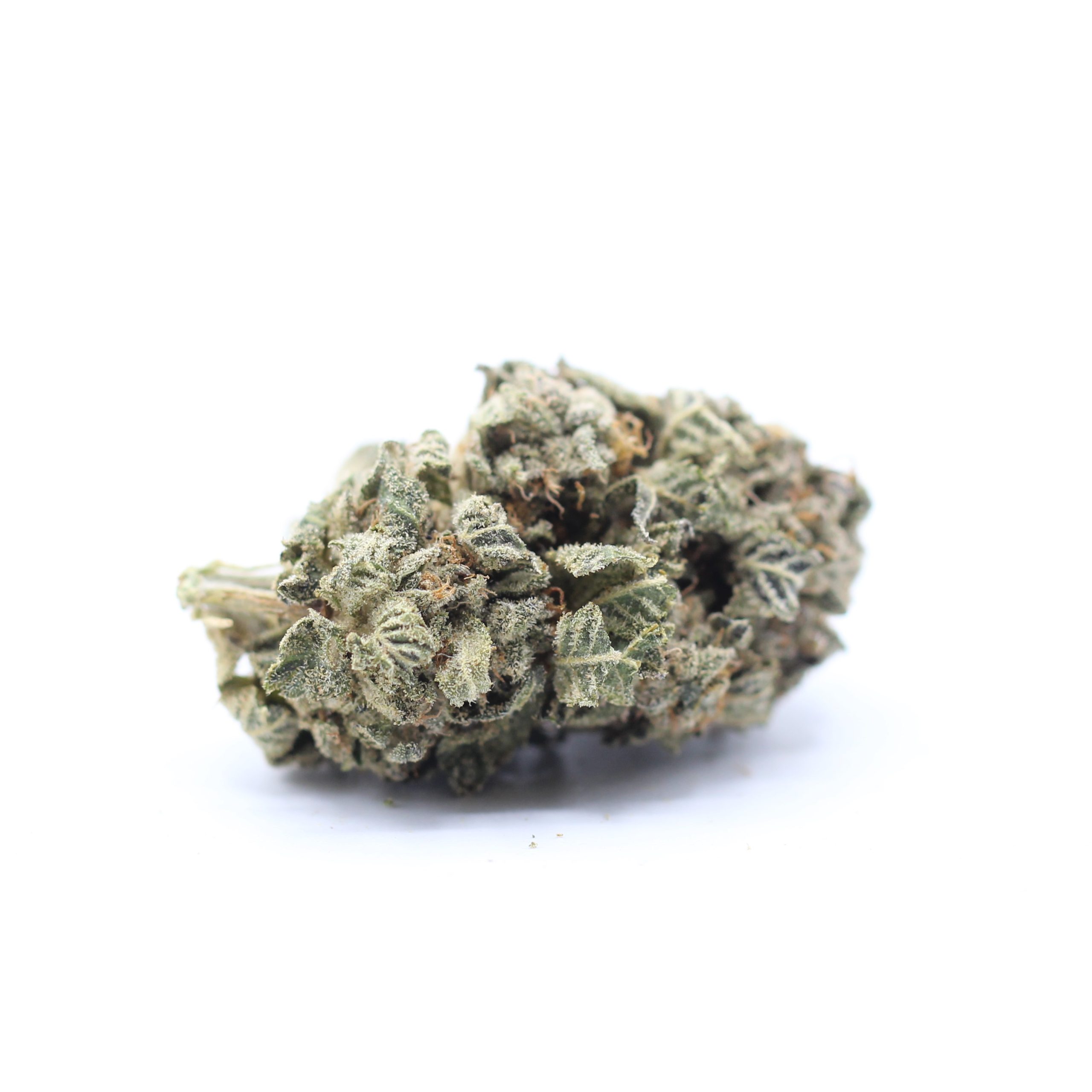 Northern Light (AA+) $2.57/gram