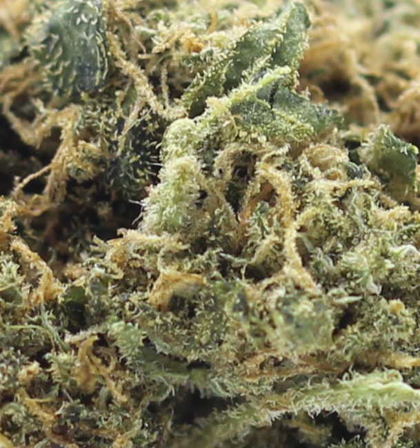 Northern Lights (AA) $2.25/gram - Image 2