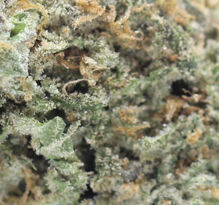 Candy Apple (AAA) $4.64/gram - Image 2