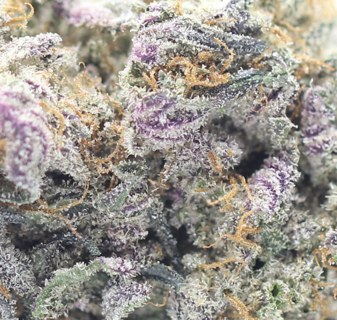Granddaddy Purp (AAAA) $5.53/gram - Image 2