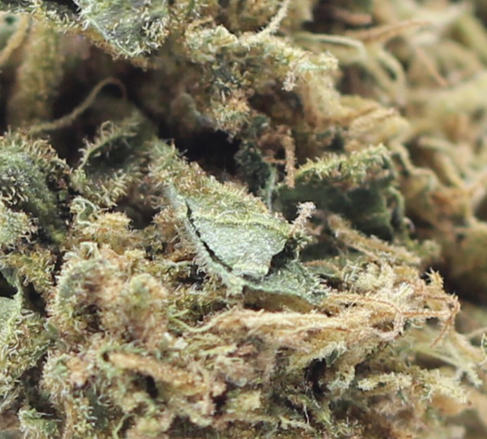 Lemon Cake (AA) $2.25/Gram - Image 2