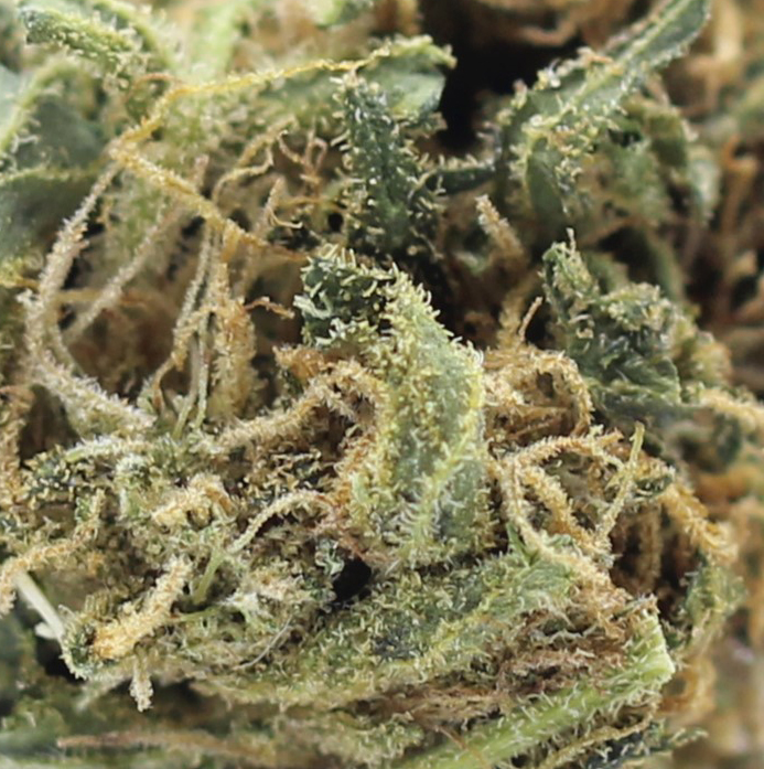 Panama Red(AA) $2.18/gram - Image 2