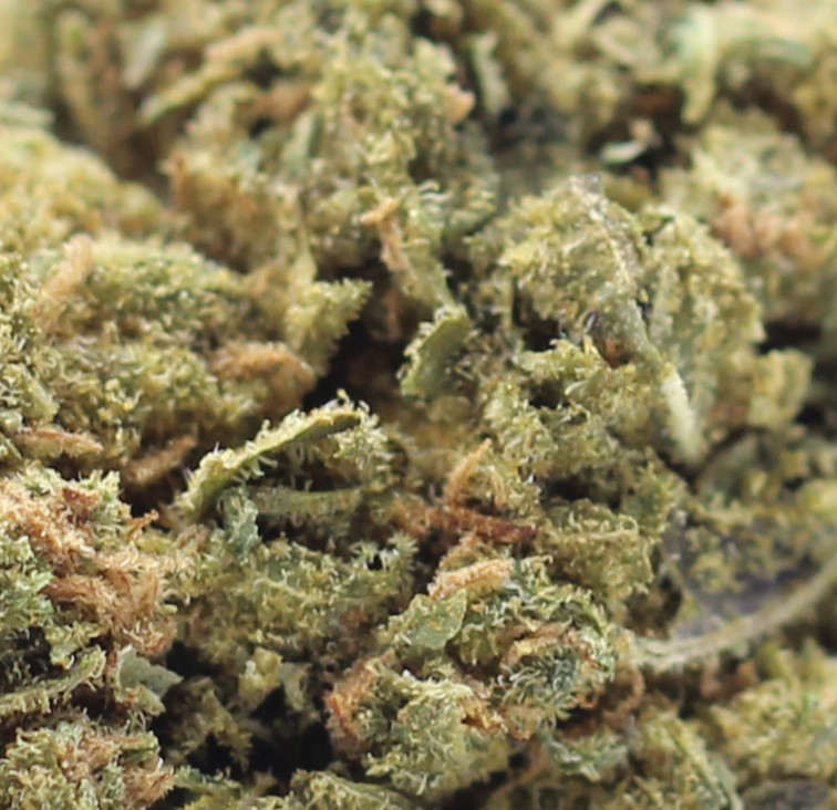 Purple Kush (AA) $2.18/gram - Image 2