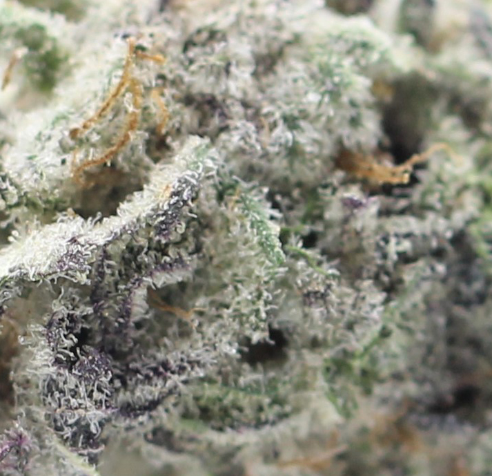 Zookies (AAA) $4.11/gram - Image 2