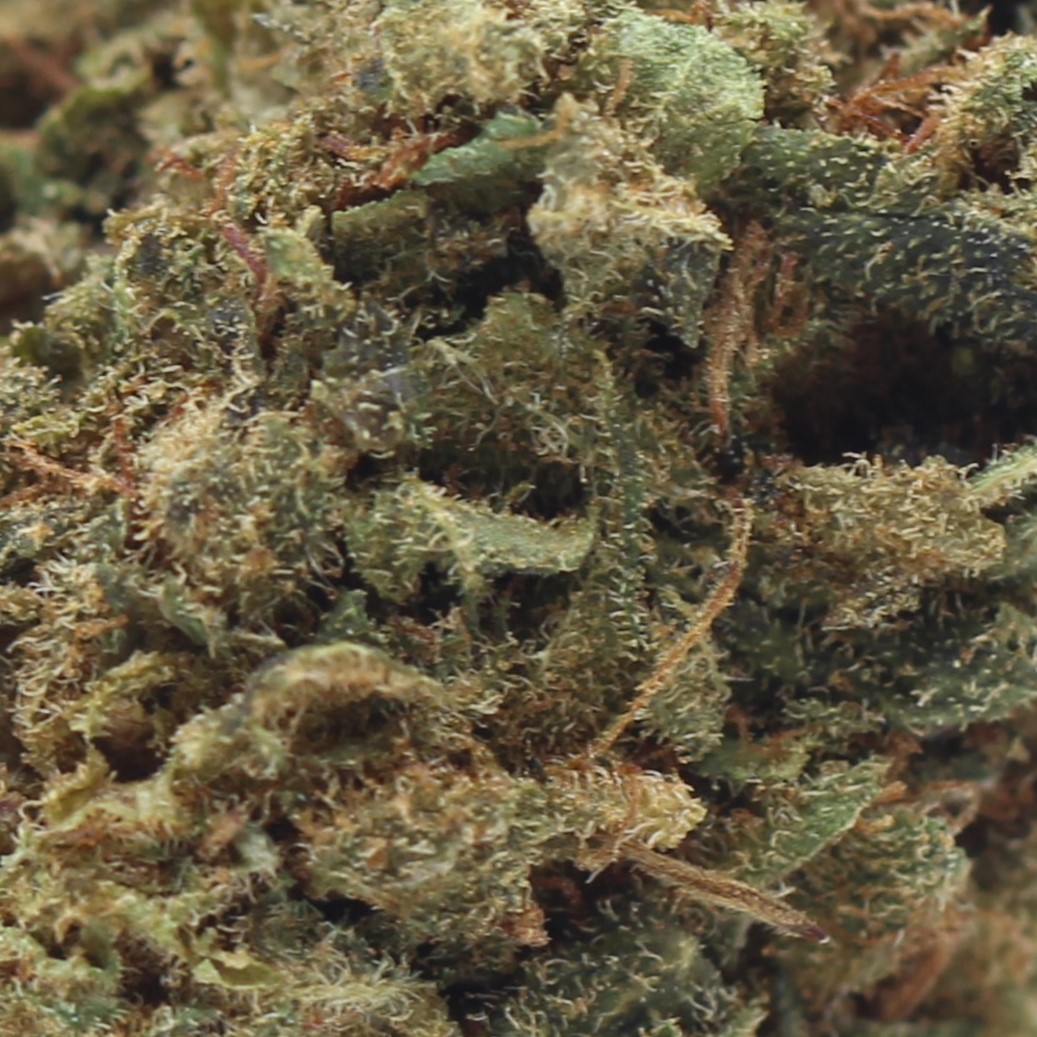 Fruit Punch (AA) $2.46/gram - Image 2