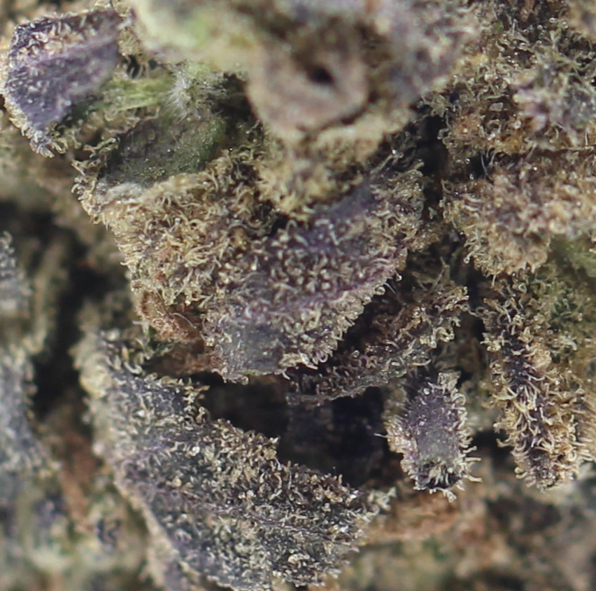Rainbow (AAA) $4.29/gram - Image 2