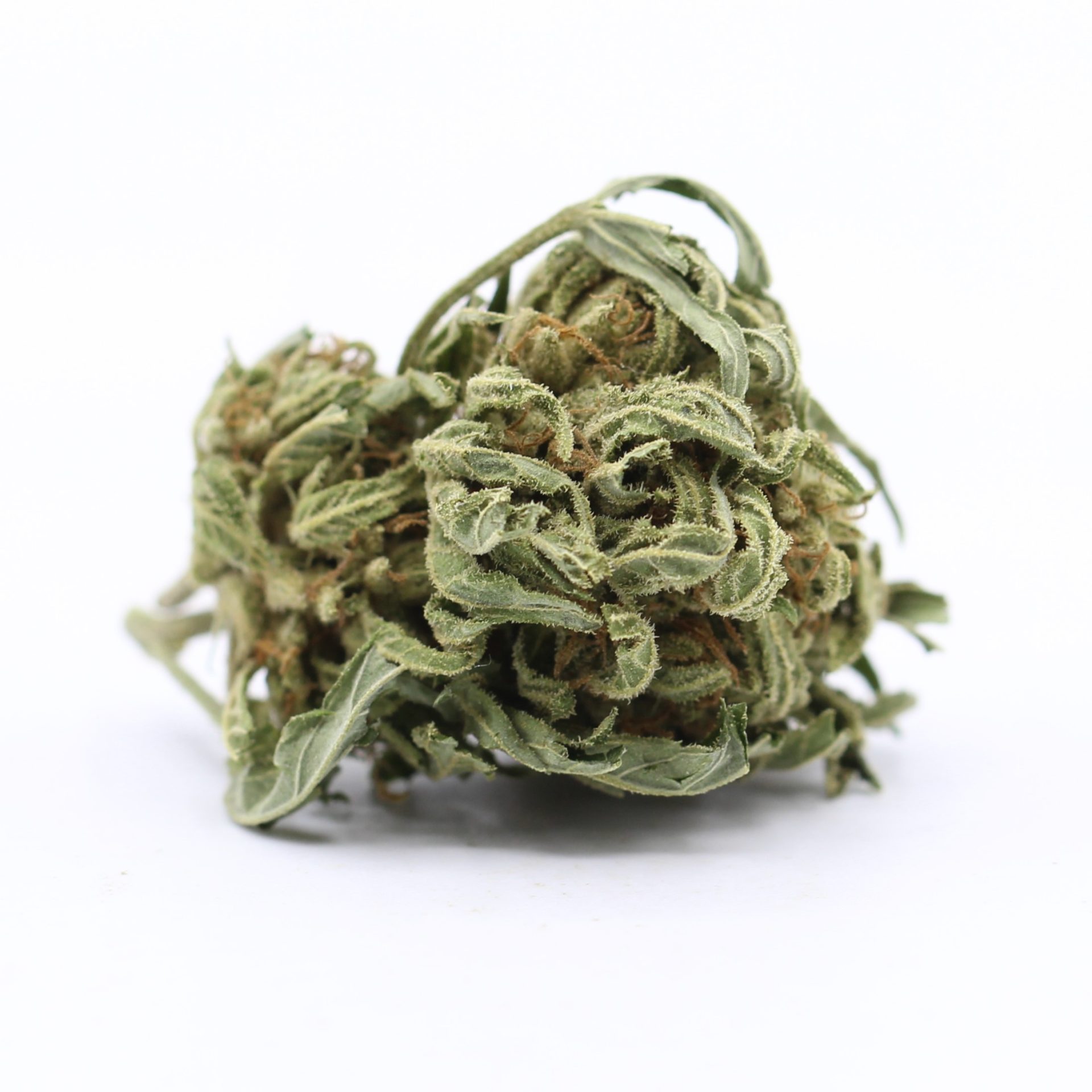 Purple OG Kush (AA) $2.46/gram