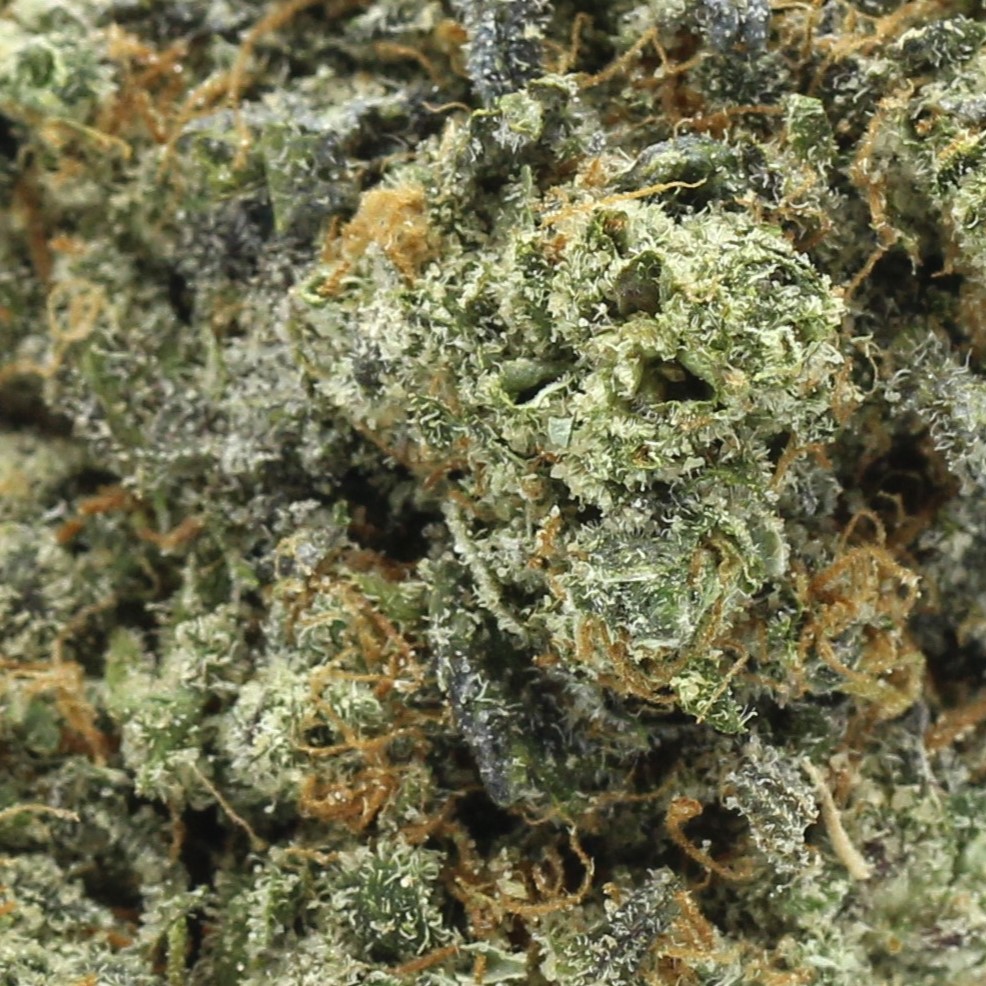 Candyland (AAAA) $4.32/gram - Image 2
