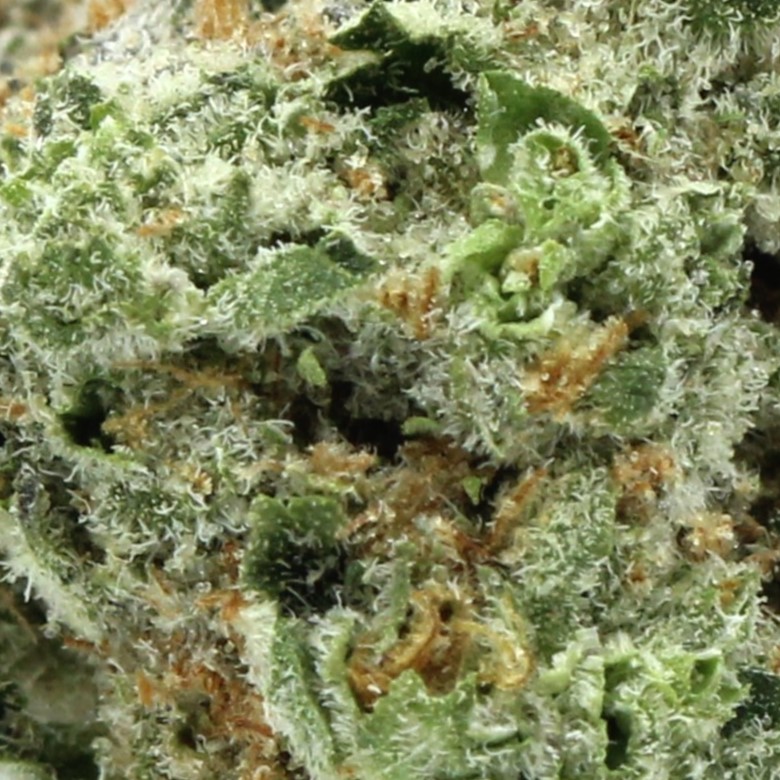 Platinum Kush Smalls (AAAA) $3.92/gram - Image 2