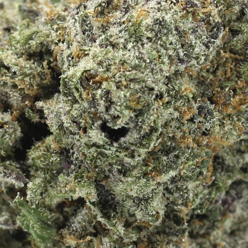 Purple Punch (AAAA) $4.32/gram - Image 2
