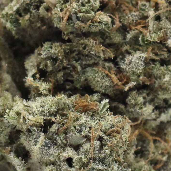 Donkey Butter (AA+) $3/gram - Image 2