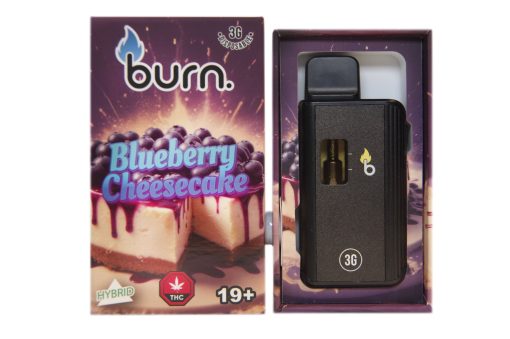 Burn 3 Gram – Disposable – Blueberry Cheesecake (Hybrid)