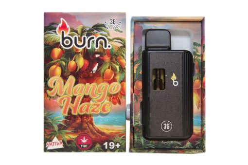 Burn 3 Gram – Disposable – Mango Haze (Sativa)