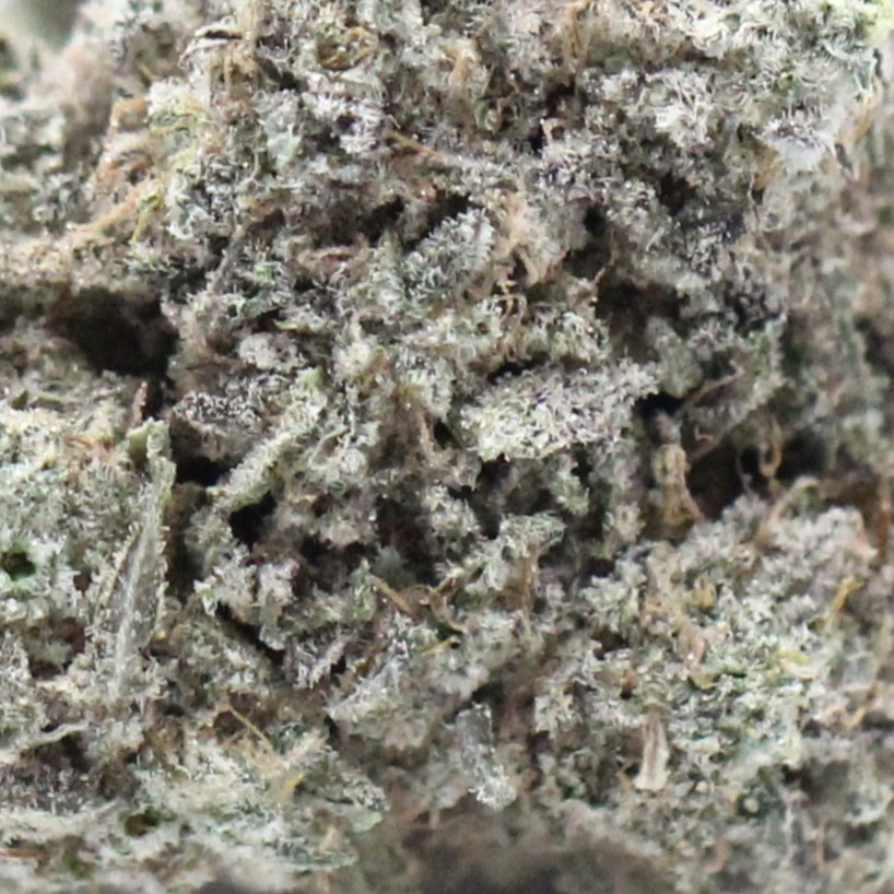 Frozen Gelato Smalls (AAAA+) $4.78/gram - Image 2