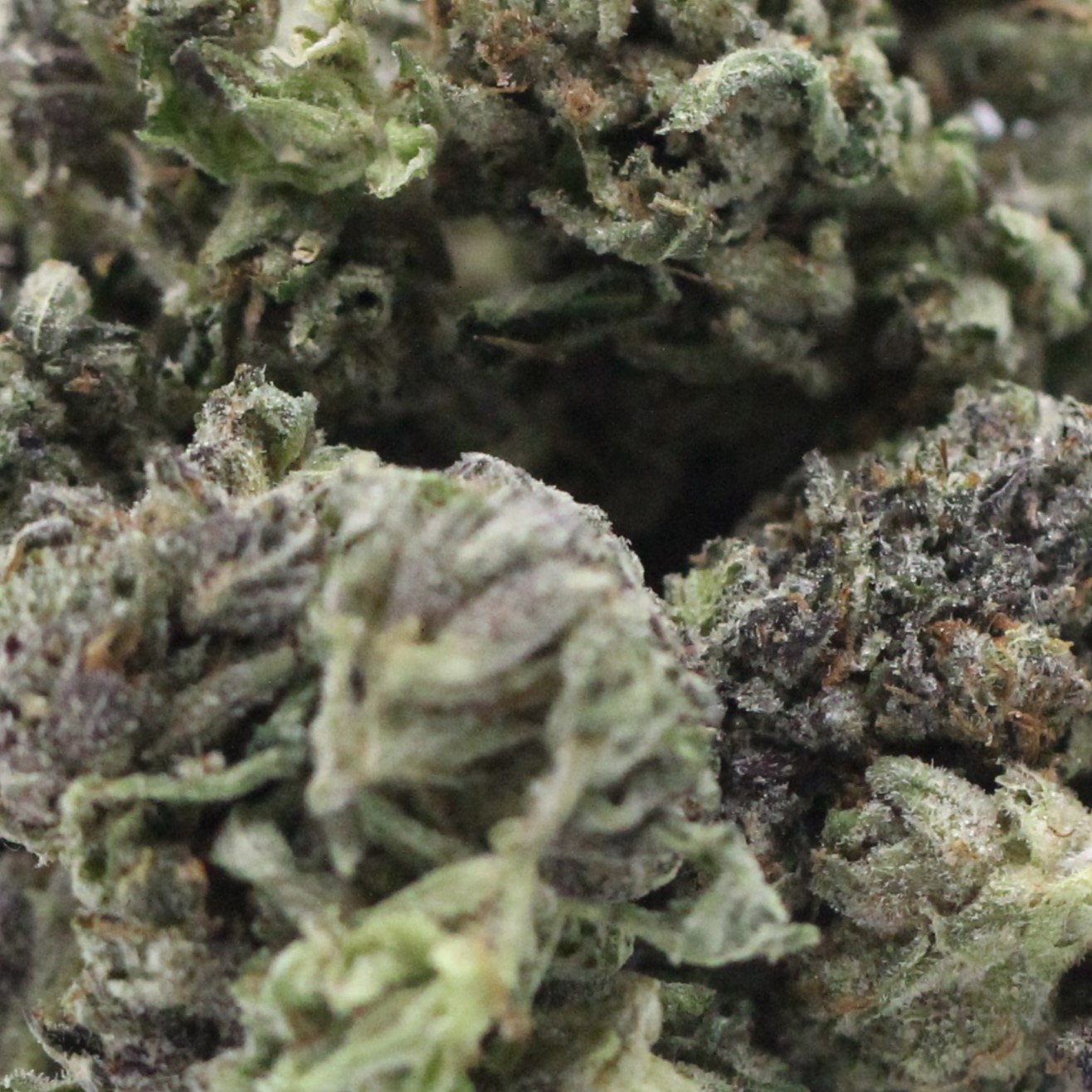 Pink Kush (AA+) $2.85/gram - Image 2